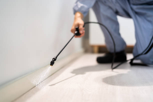 Licensed Rodent Control service in Galena, OH - Nex Pest Control