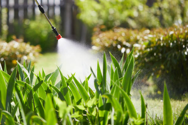 24/7 Emergency Rodent Control experts in Galena, OH