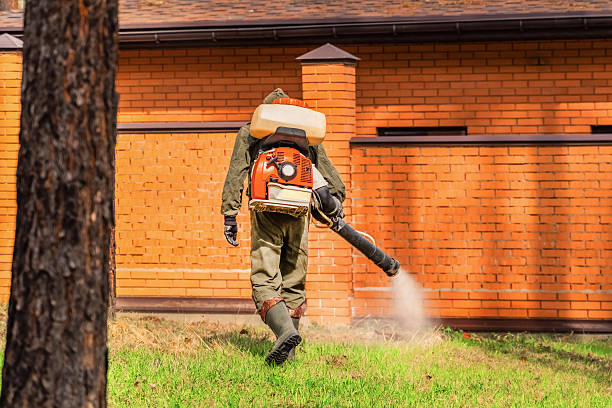 Top rated local Rodent Control specialists in Galena, OH